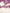 ASSIETTES FESTONNEES PYJAMA PARTY 23CM X 8