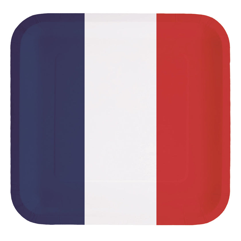 ASSIETTES CARREES FRANCE 23CM X 8