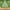 GUIRLANDE FEUILLES TROPICALES 3M
