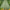 GUIRLANDE FEUILLES TROPICALES 3M