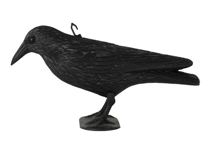 corbeau noir 36cm