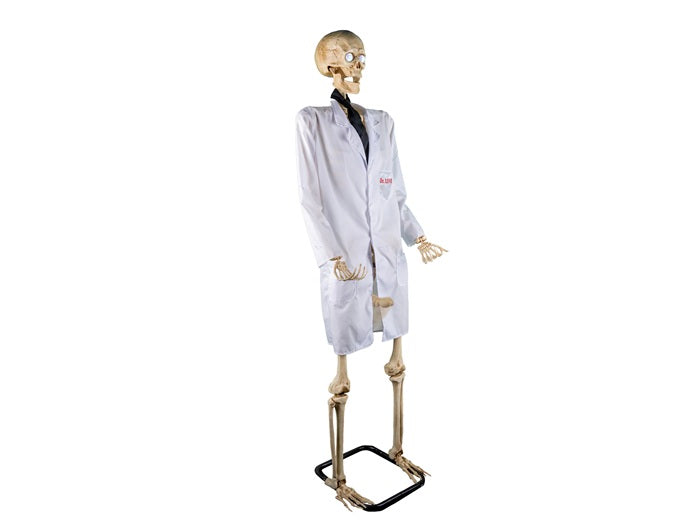 squelette docteur love lumineux sonore et motorisé 1.52m
