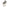 squelette de corbeau 20cm