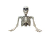 buste torse géant squelette à poser 104cm