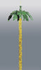Palmier suspendu hawaïen
