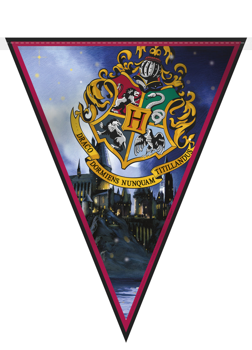 Kit de Décoration fête Maisons Poudlard - Harry Potter