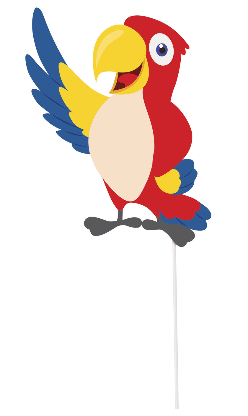 10 accessoires Photo booth pour fête pirate