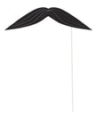 10 accessoires Photo booth pour fête pirate