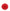 Rosace en papier couleur rouge - Gamme couleur unie