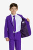 Costume OppoSuits BOYS Purple Prince