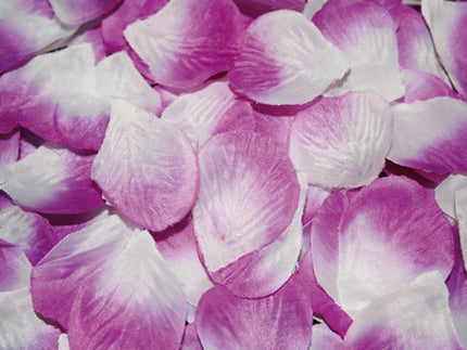 lot avec 100 pétales de roses violet & blanc