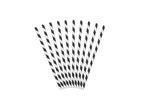 lot de 10 pailles carton noir & blanc 19.5cm