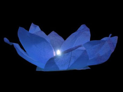 lanterne fleur de lotus flottante bleu