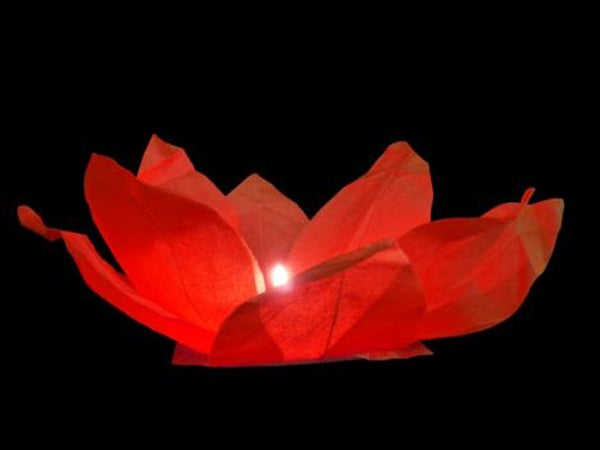 lanterne fleur de lotus flottante rouge 30cm