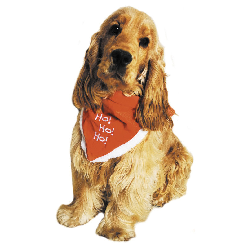 COLLIER POUR CHIEN BANDANA HO HO HO