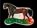 badge/magnet led cheval