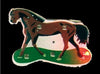 badge/magnet led cheval