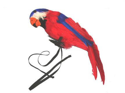 perroquet à plumes avec sangle fixation d''épaule