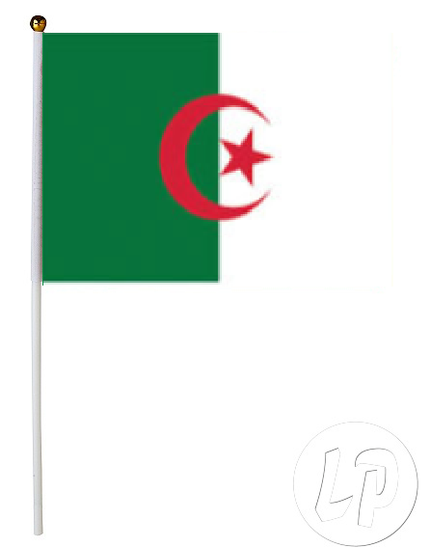 drapeau algerie avec baton 30x45cm