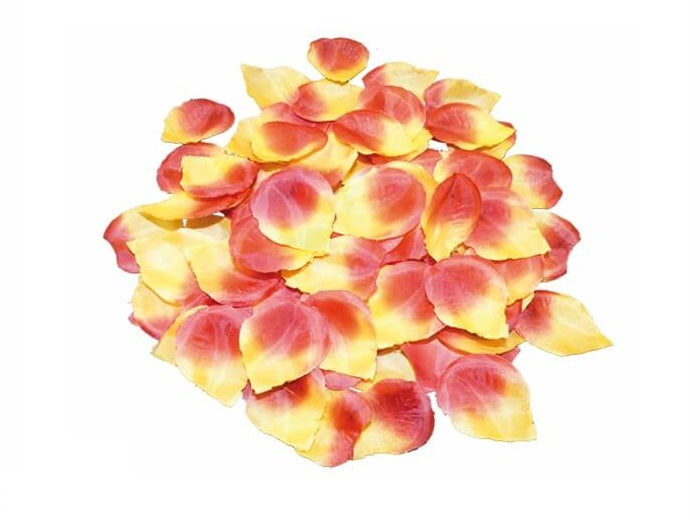 lot avec 500 pétales de roses bordeaux & orange