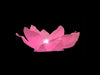 lanterne fleur de lotus flottante rose 30cm