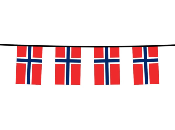 guirlande 12 drapeaux fanions norvege 4.5m