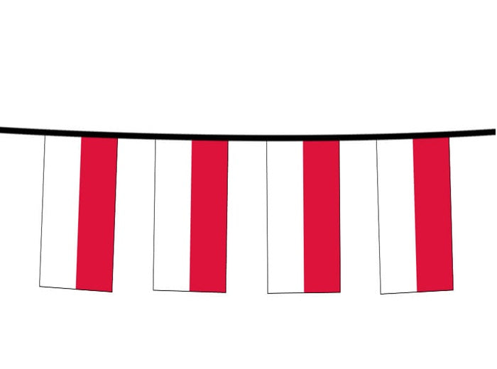 guirlande 12 drapeaux fanions pologne 4.5m