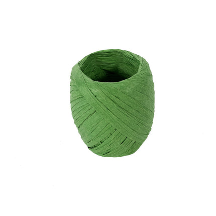 Bolduc Papier Vert