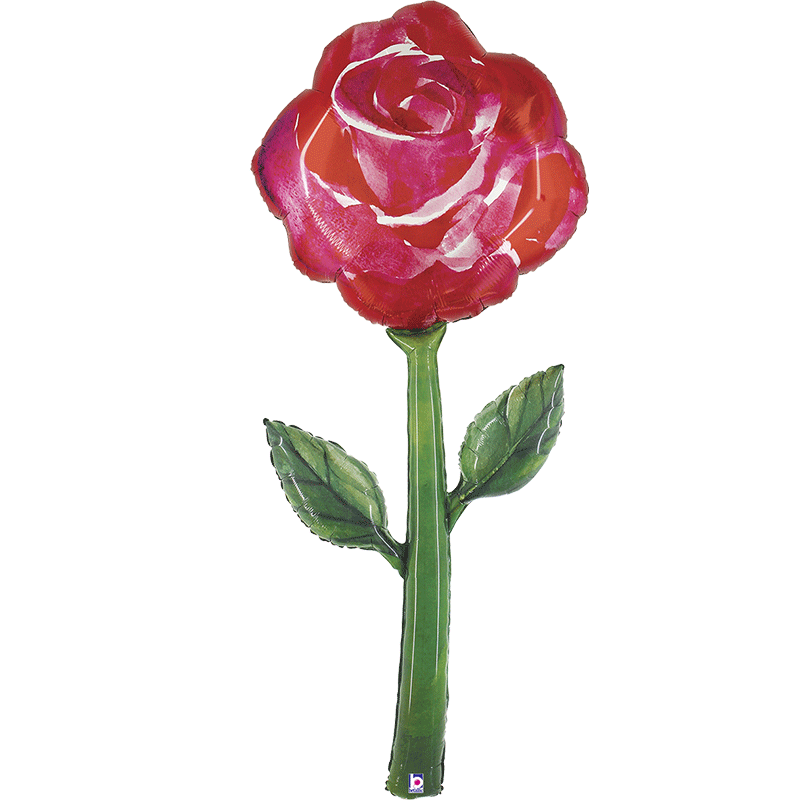 Ballon Aluminium 5' Fresh Picks Watercolor Rose - Grabo