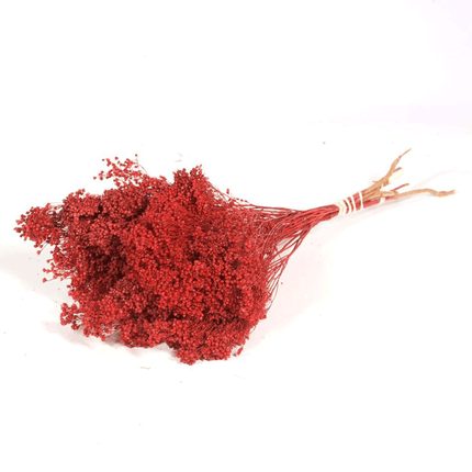 Fleurs de Genêt Séchées Rouges 70g