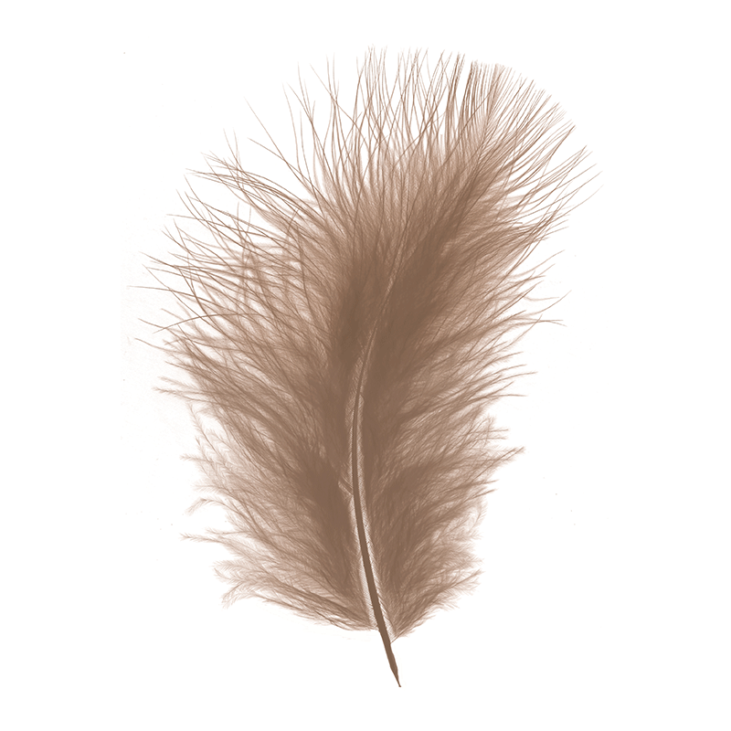 Plumes de Marabou Marron 25g