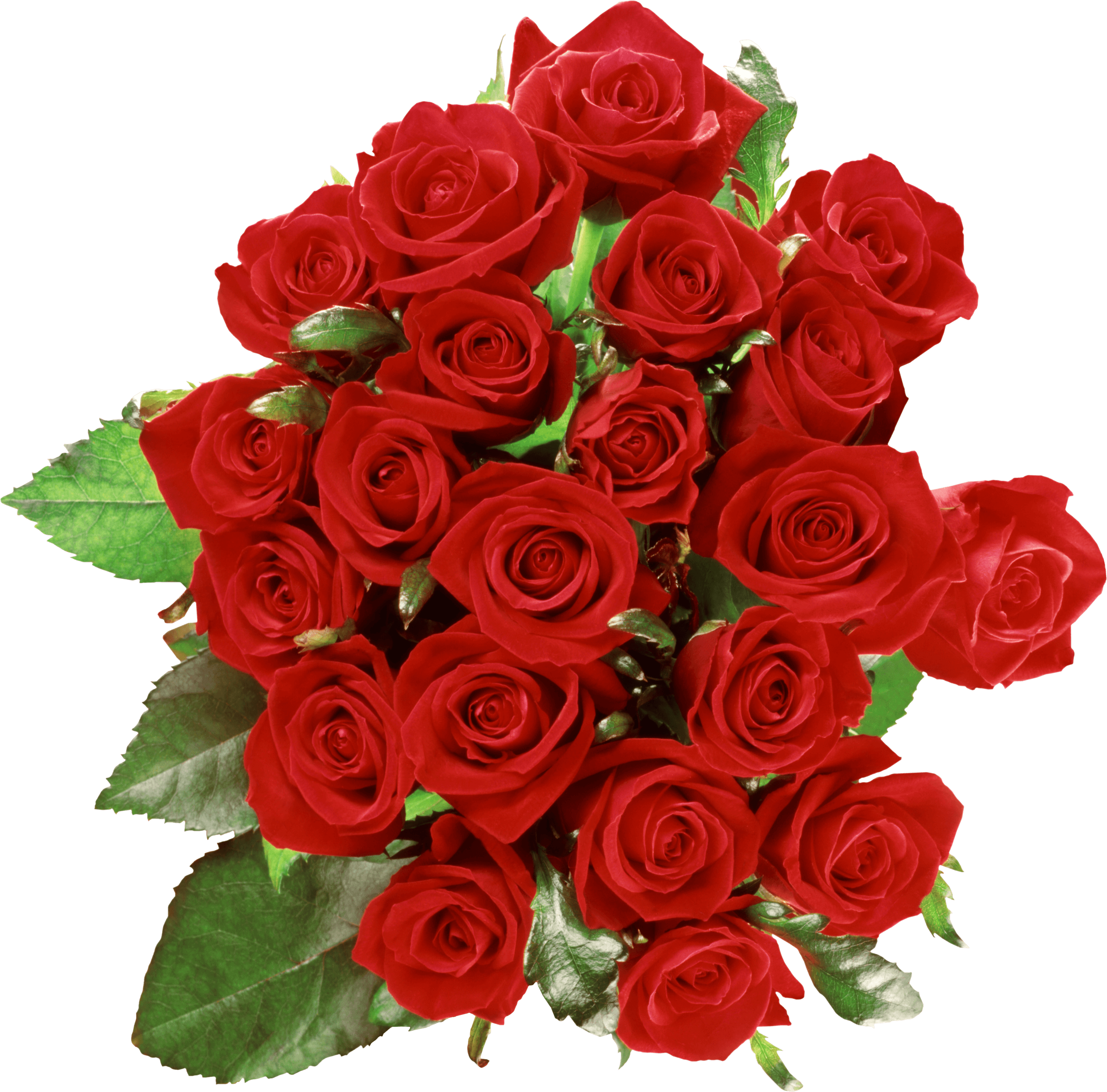 Bouquet de 50 roses rouges