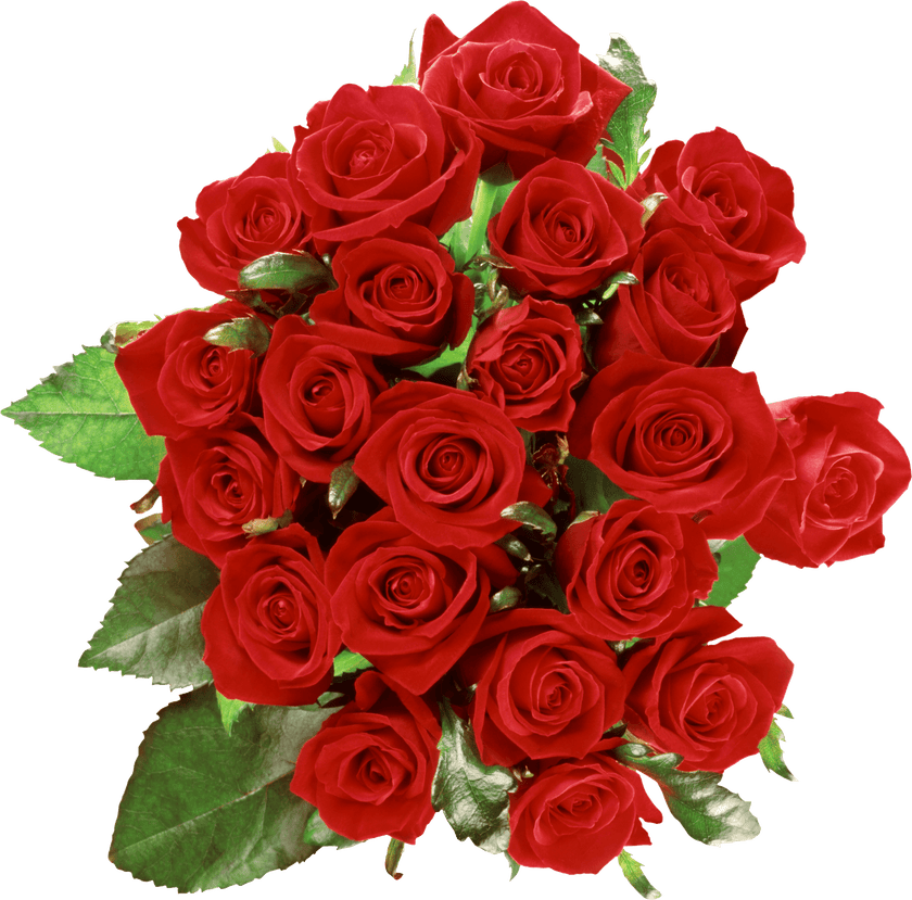 Bouquet de 50 roses rouges