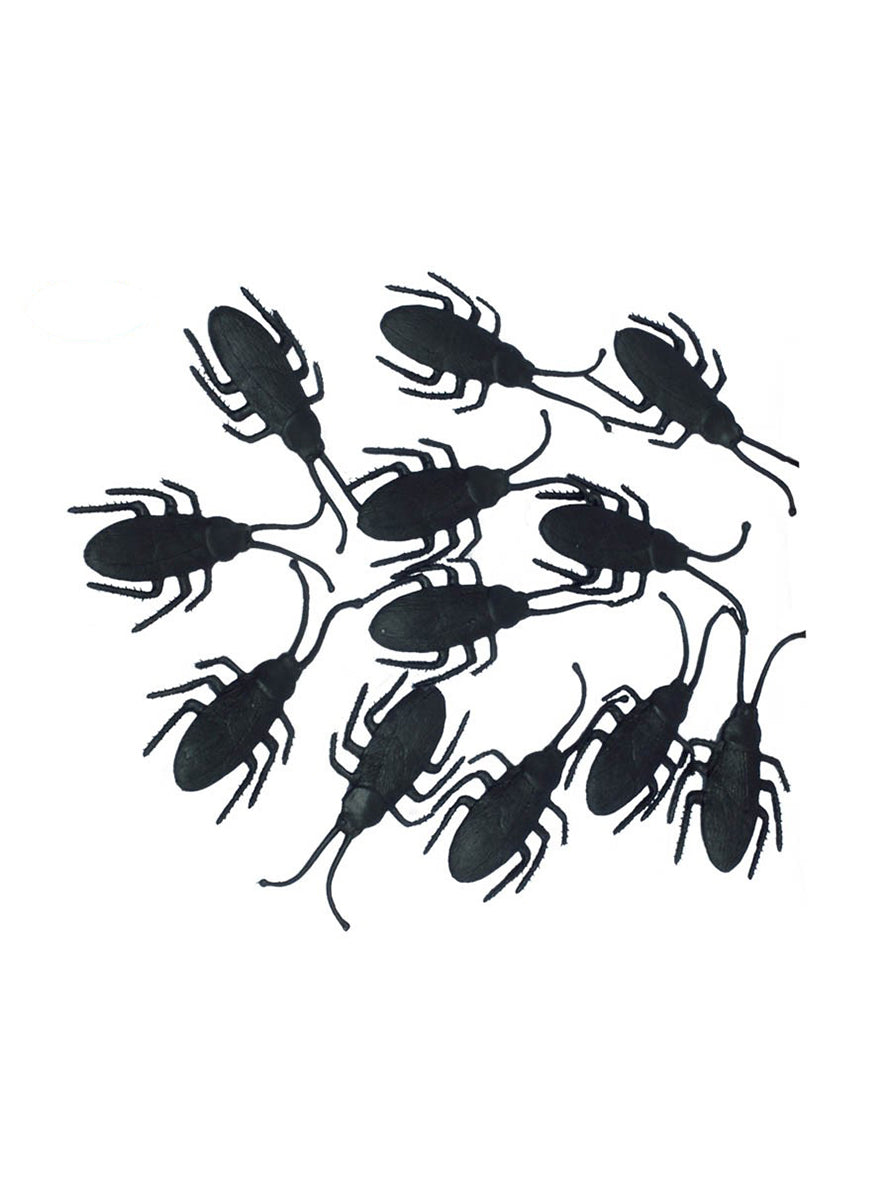 Sac de scarabé | 12 scarabés | J2F Shop