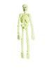Squelette de labo 3D fluo | squelette décoratif | J2F Shop