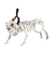 Squelette de chien avec laisse | Squelette avec laisse | J2F Shop