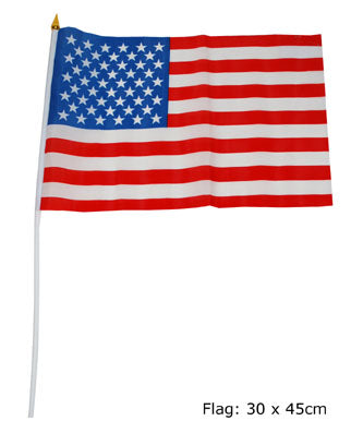 drapeau américain 30x45cm avec baguette
