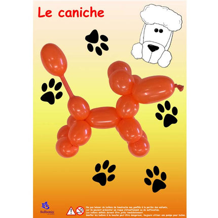 Kit A Modeler Caniche