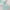 Billes de Polystyrène Pastel Menthe 25g
