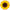 Ballon Aluminium Tournesol d'Automne 29″ – Grabo