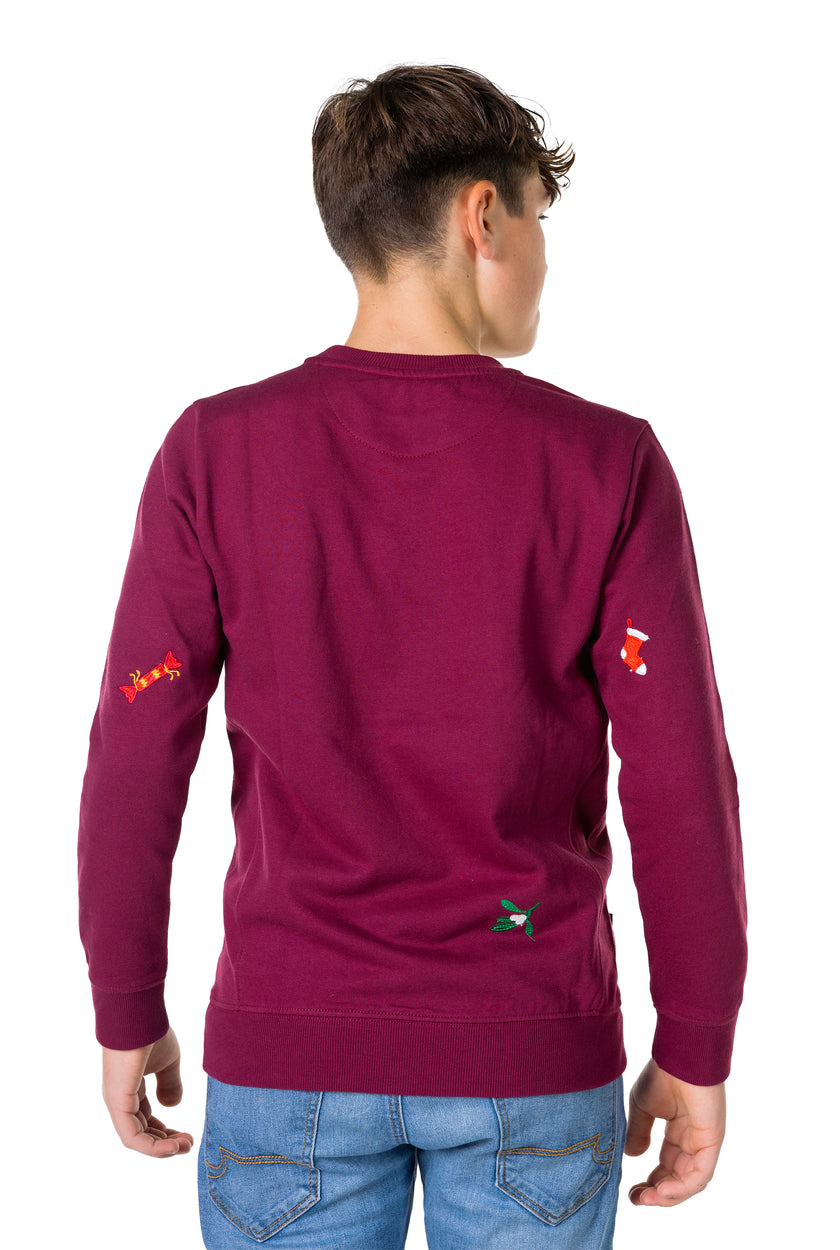 Pull OppoSuits Deluxe TEEN BOYS X-Mas Icons - Burgundy