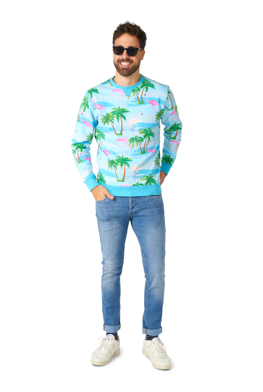 Pull OppoSuits Flaminguy