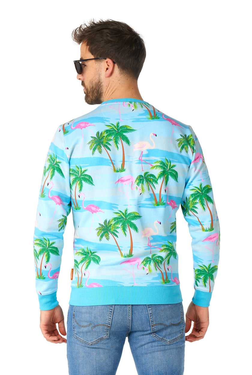 Pull OppoSuits Flaminguy