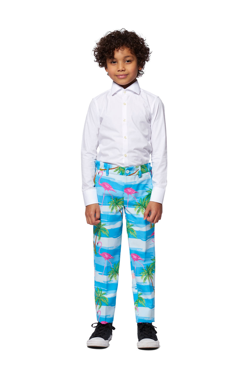 Costume OppoSuits BOYS Flaminguy