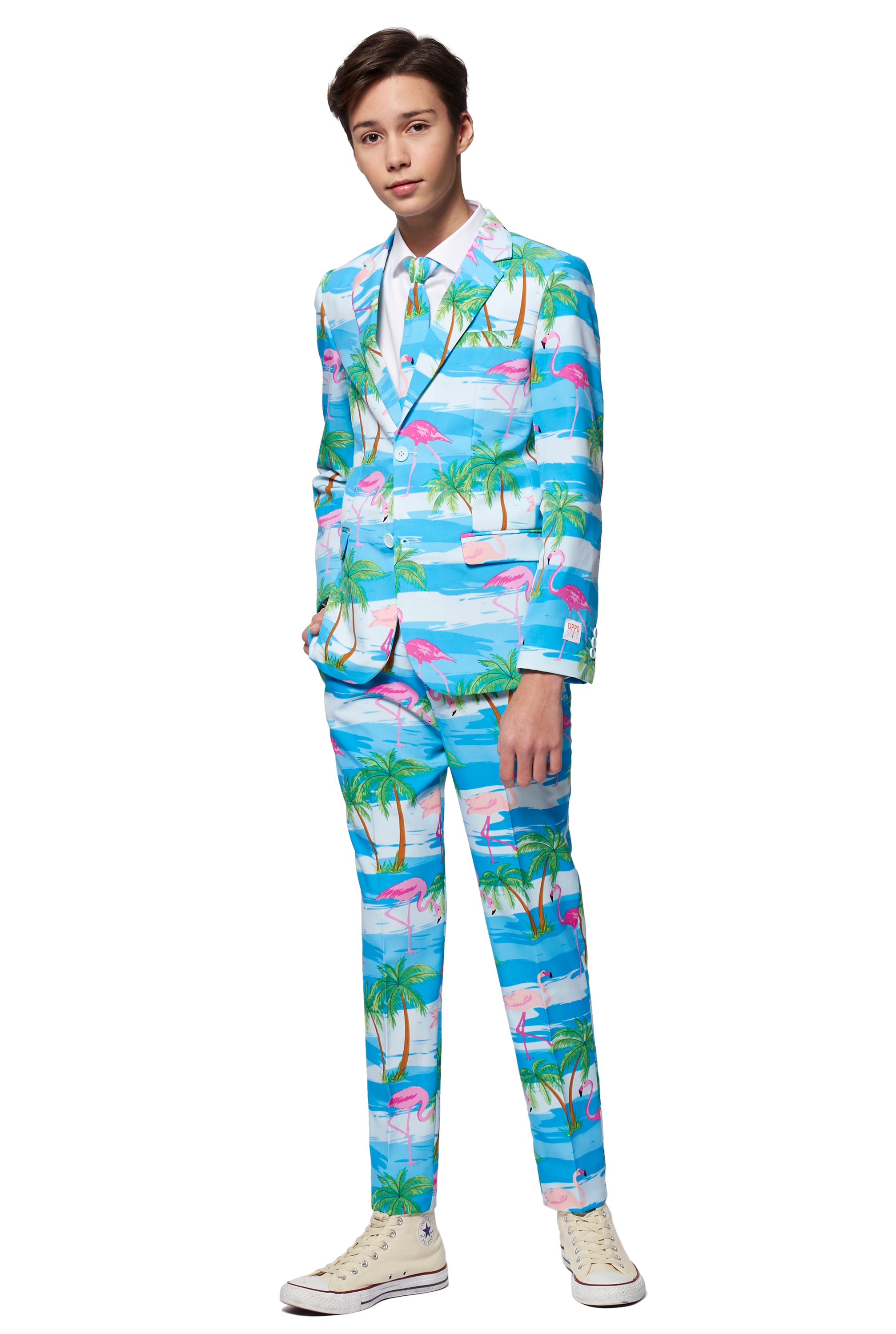 Costume OppoSuits TEEN BOYS Flaminguy