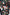 Costume OppoSuits Shine Pine