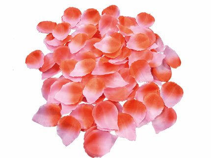 lot avec 100 pétales de roses rose & rose
