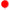 Globe 15 pouces Red - Grabo