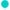 Globe 15