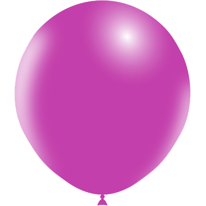 25 Ballons HG118 Fuchsia - Balloonia